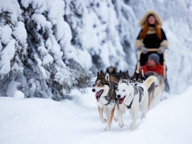 Ruka: Wintersport Fins Lapland