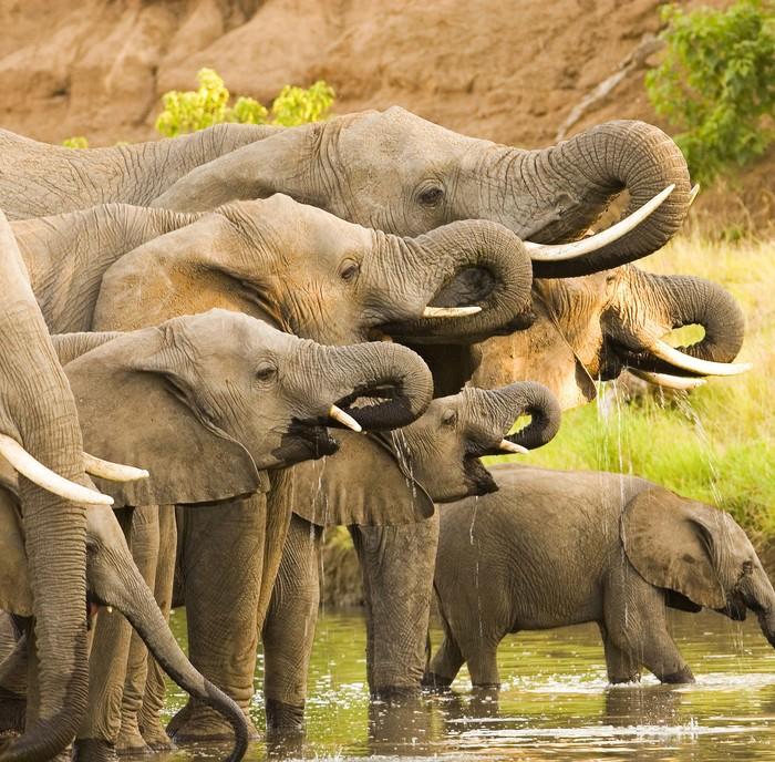 Familiereis Namibië, Botswana en Zimbabwe