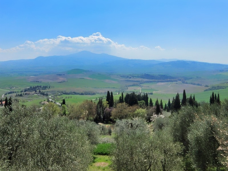 8 daagse  Italië – Toscane-Val d Orcia
