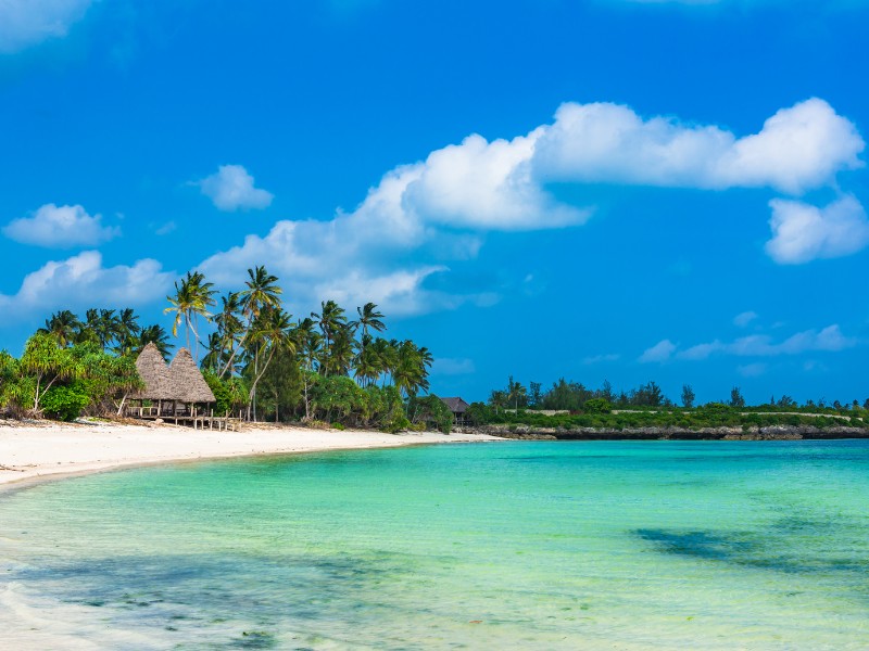 Riksja’s choice: De grote trek