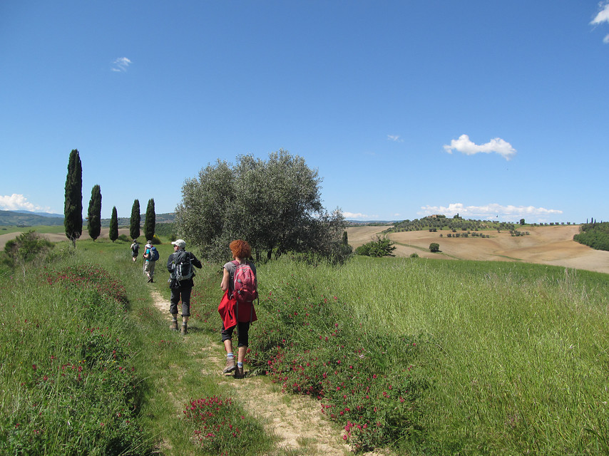8 daagse  Italië – Toscane-Val d Orcia