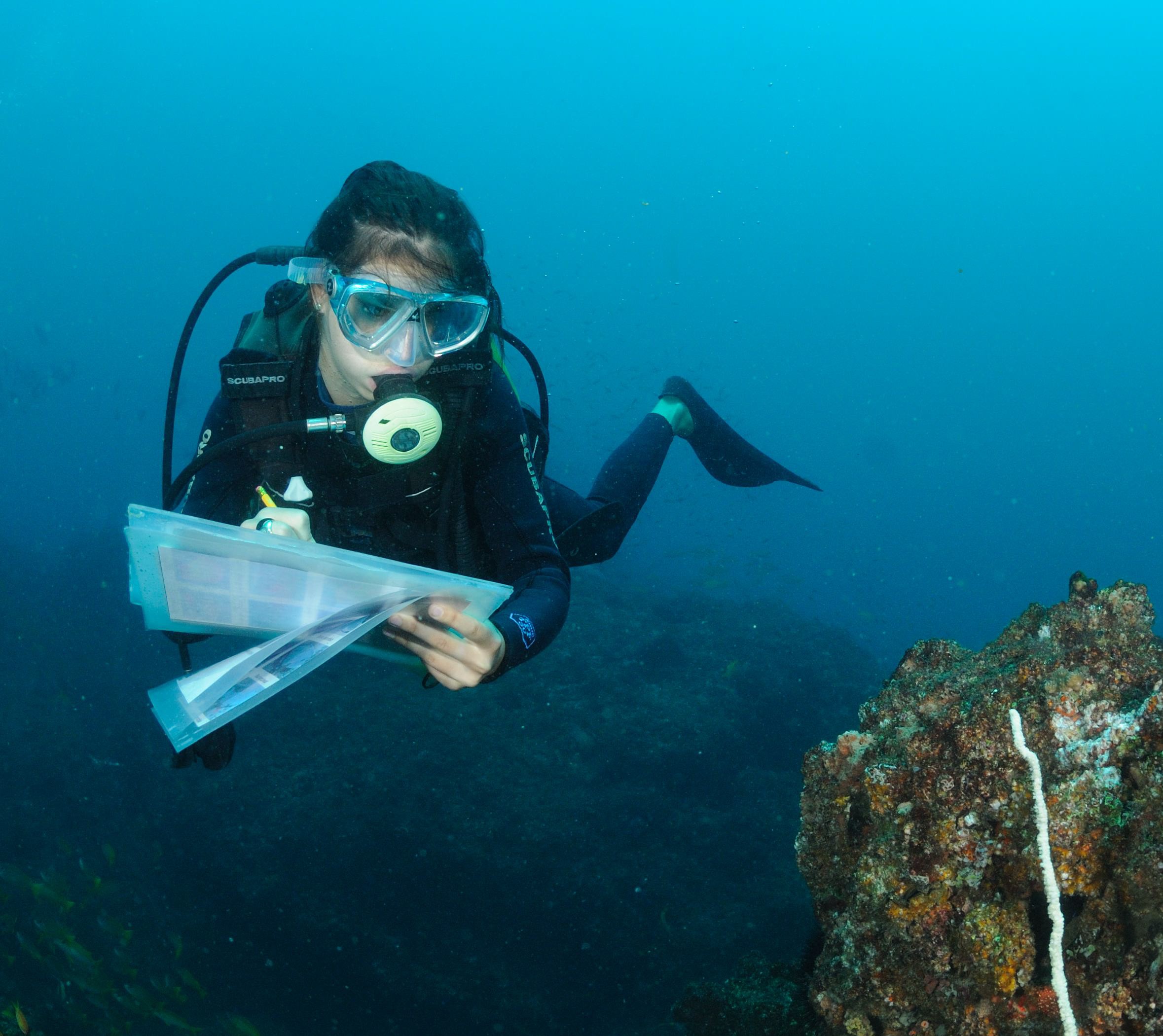 Kruger to Reef