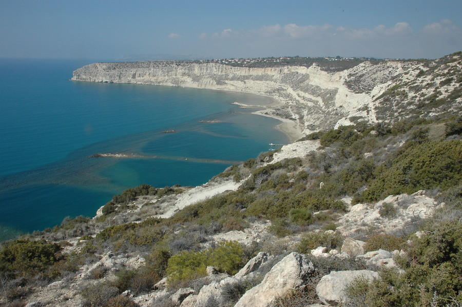 8 daagse  Cyprus – vogelreis