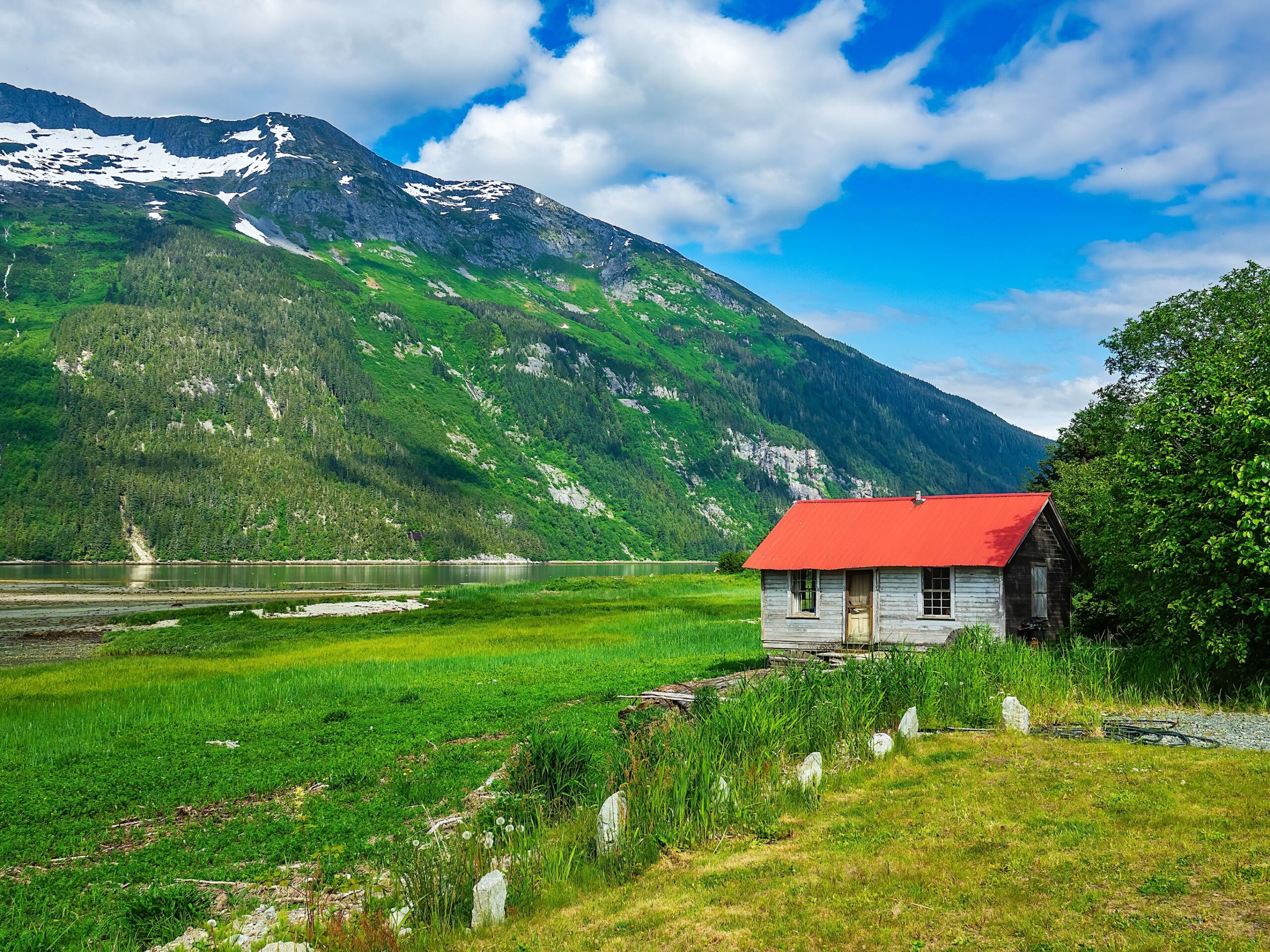 Wildlife en goudzoekers in Yukon en Alaska