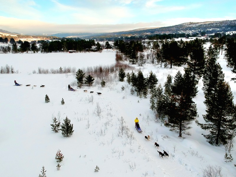 Winterreis Noorwegen met de trein: Huskysafari en fjordcruisen