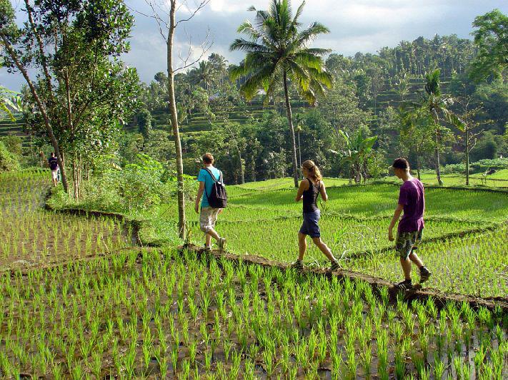 Familiereis Kleine Sunda Eilanden