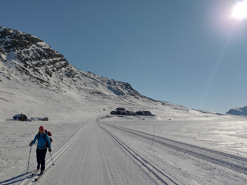8 daagse  Noorwegen – Rondane