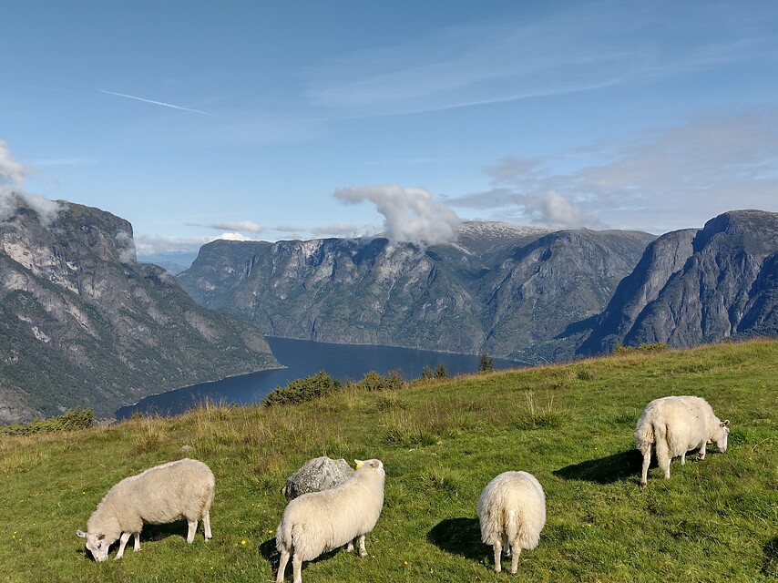 13 daagse  Noorwegen – Zuid-Noorwegen