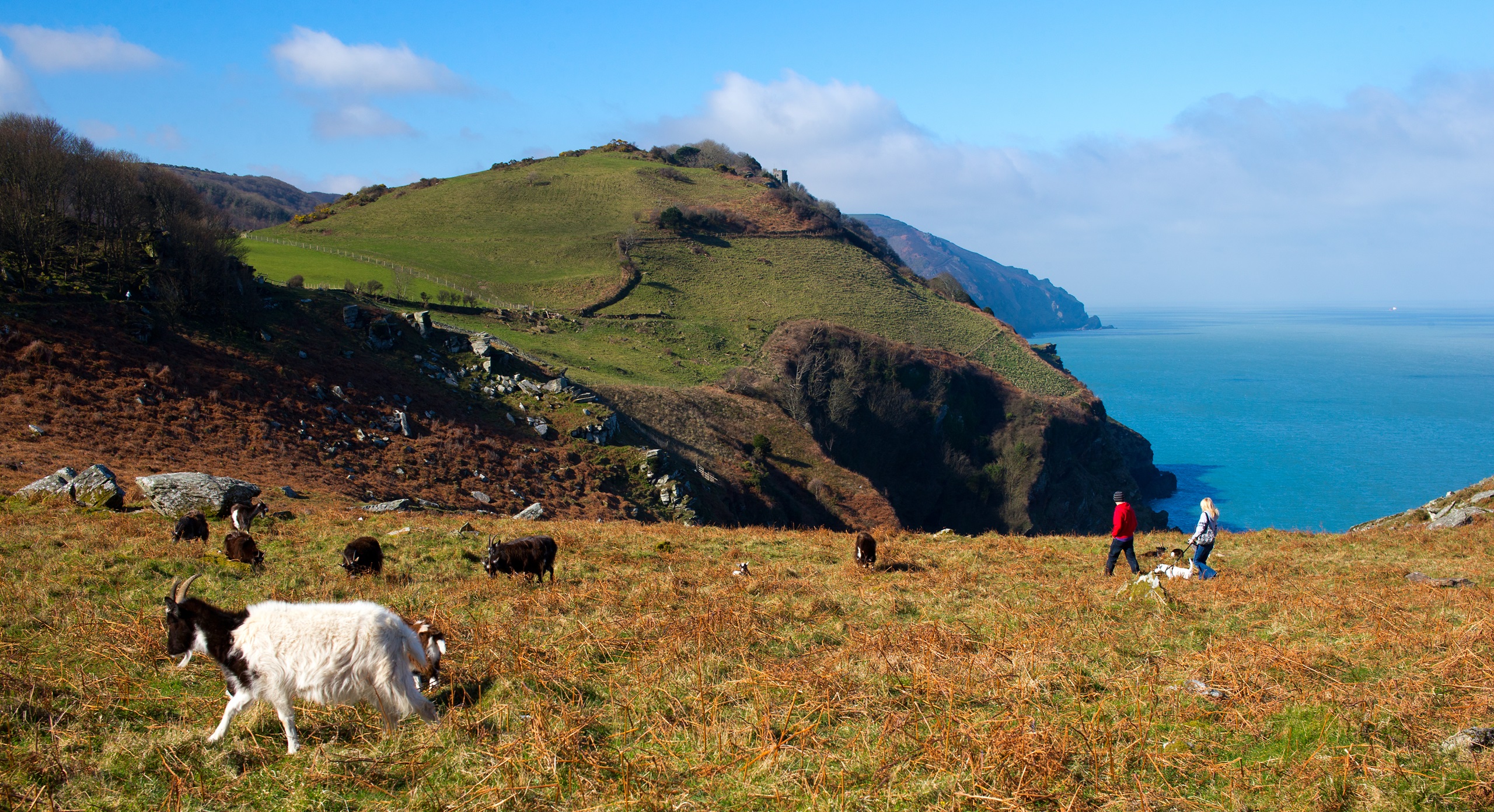 9 daagse  Groot-Brittannië – South West Coast Path, Etappe 1