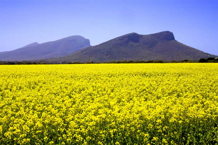 24 daagse  Australië – Australië Zuid