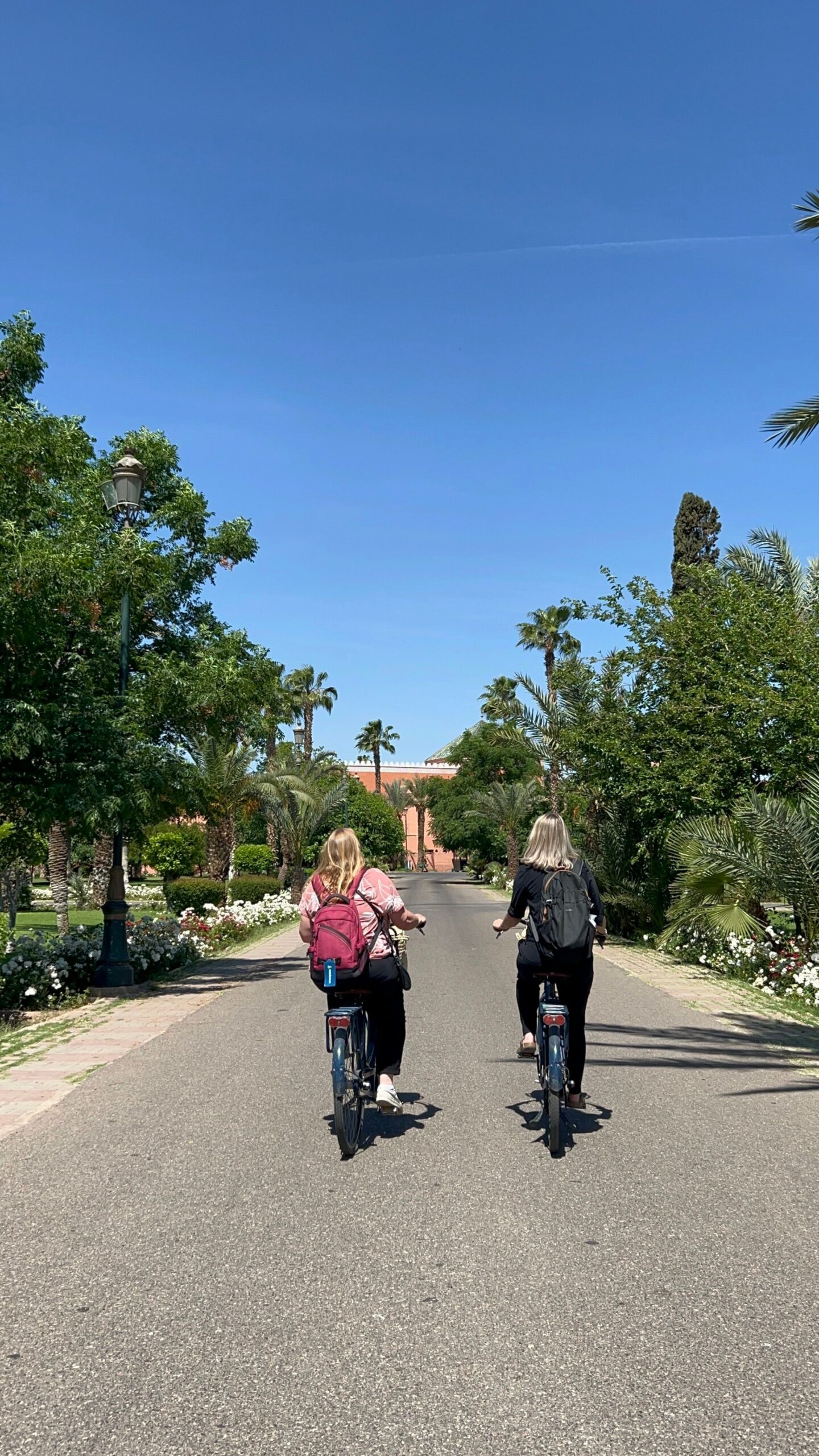 Van Marrakech tot Meknes in 10 dagen