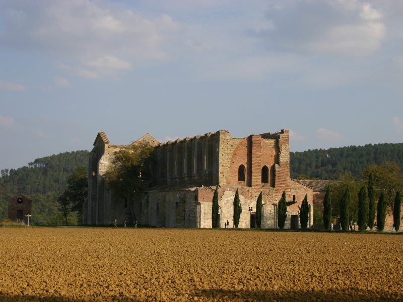 8 daagse  Italië – Toscane-Val d Orcia
