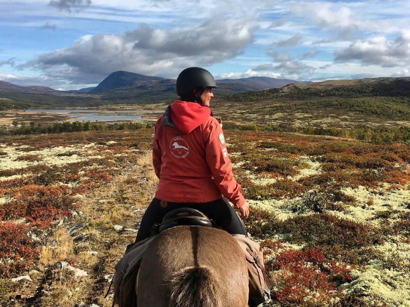 Tussen Fjorden & Fjällen