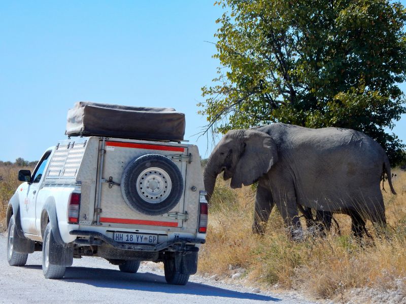 Namibië, Botswana & Zimbabwe: wild, wilder, wildst