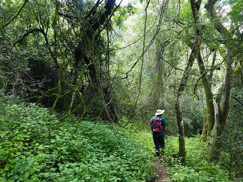 17 daagse  Zuid-Afrika – Westkaap en Oostkaap