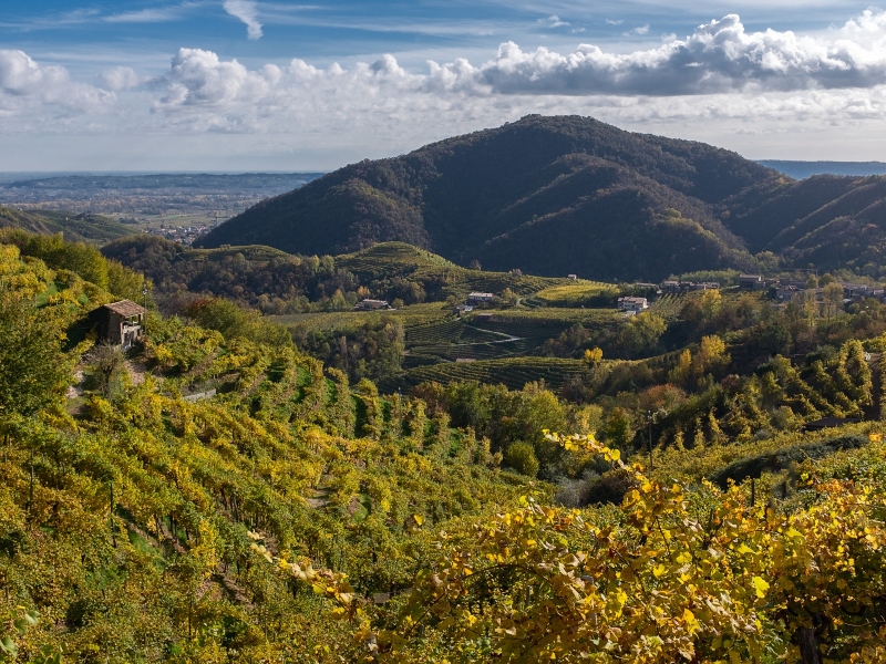7 daagse  Italië – Veneto