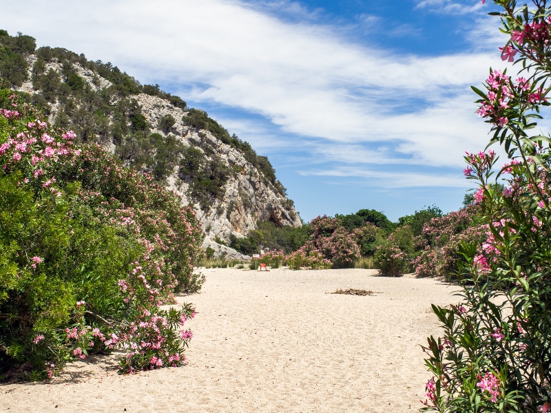 8 daagse  Italië – Sardinië