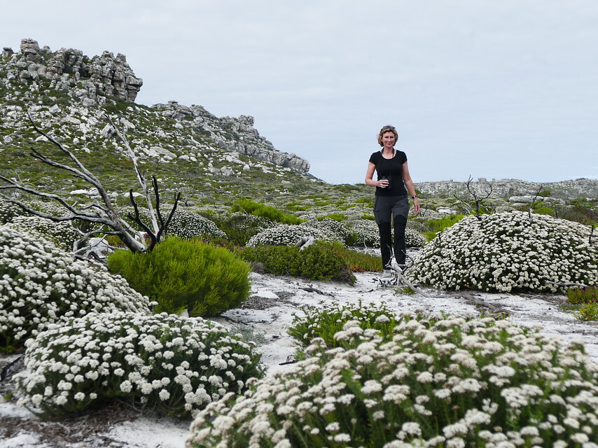 17 daagse  Zuid-Afrika – Westkaap en Oostkaap