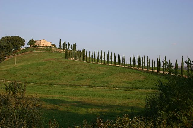 8 daagse  Italië – Toscane-Val d’Orcia