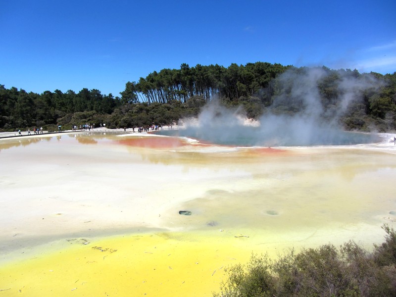 17 daagse  Nieuw-Zeeland – Noordereiland