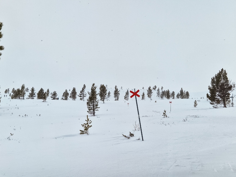 8 daagse  Zweden – Dalarna