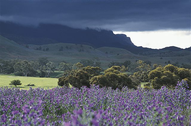 10 daagse  Australië – Cities and Mountains