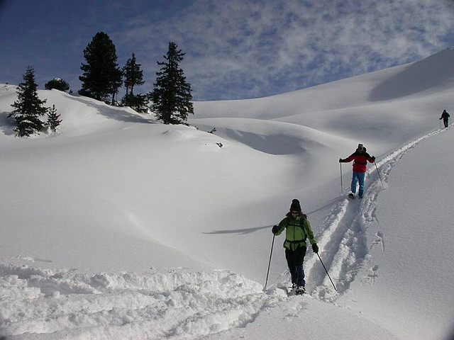 8 daagse  Oostenrijk – Grossarltal