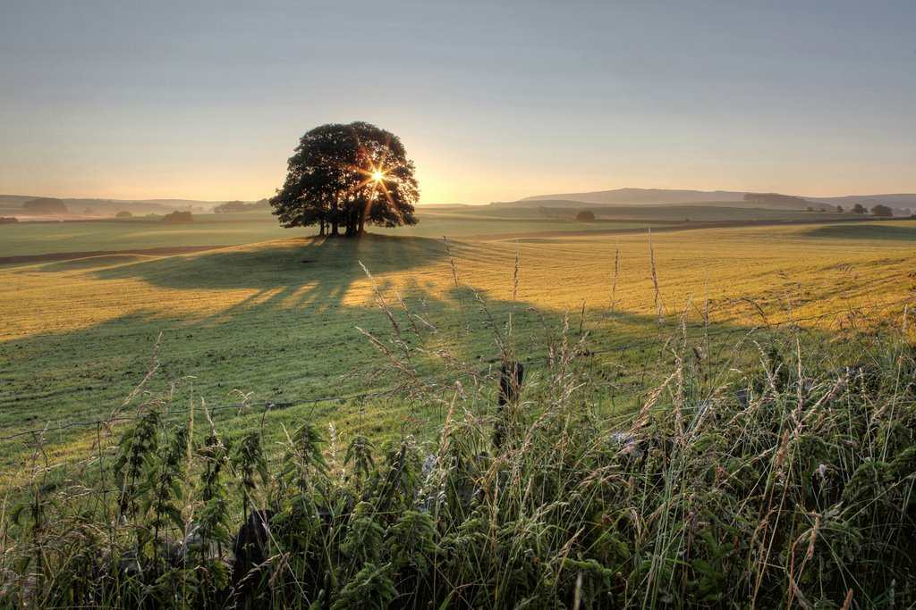 8 daagse  Groot-Brittannië – Engeland – Malhamdale