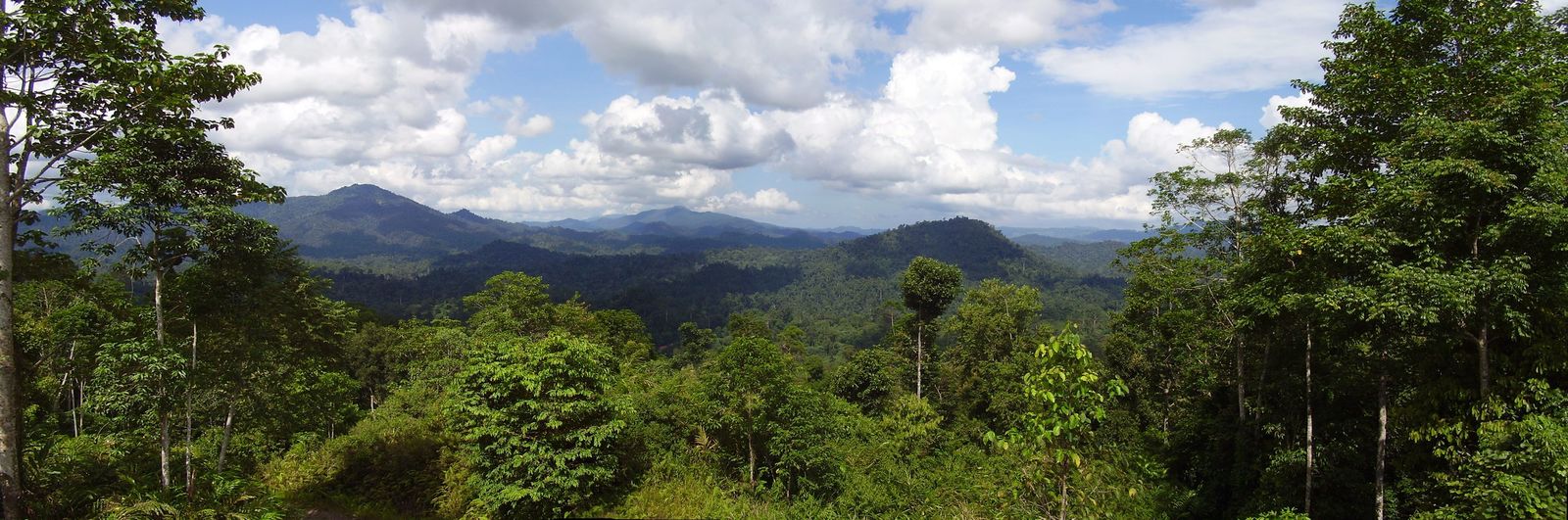 Het beste van Borneo