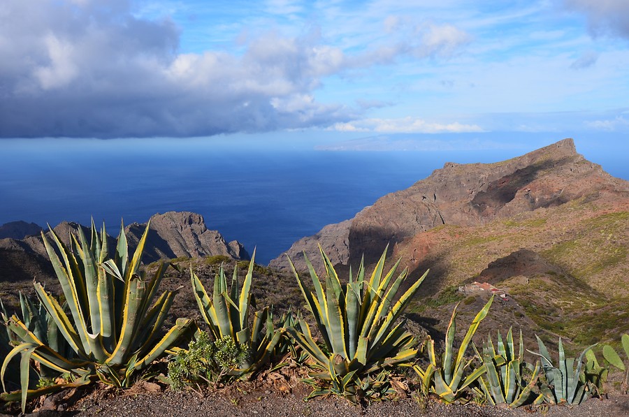 8 daagse  Spanje – Tenerife