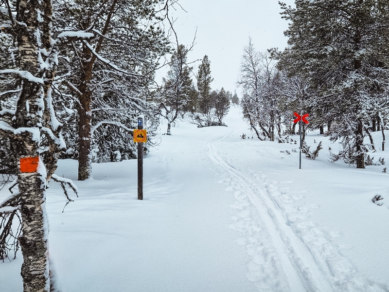 8 daagse  Zweden – Dalarna
