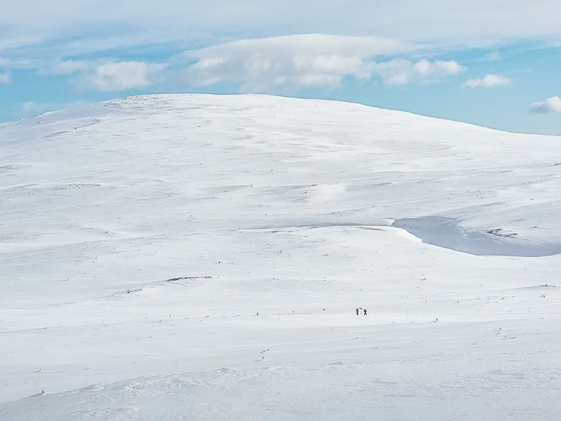 8 daagse  Zweden – Dalarna