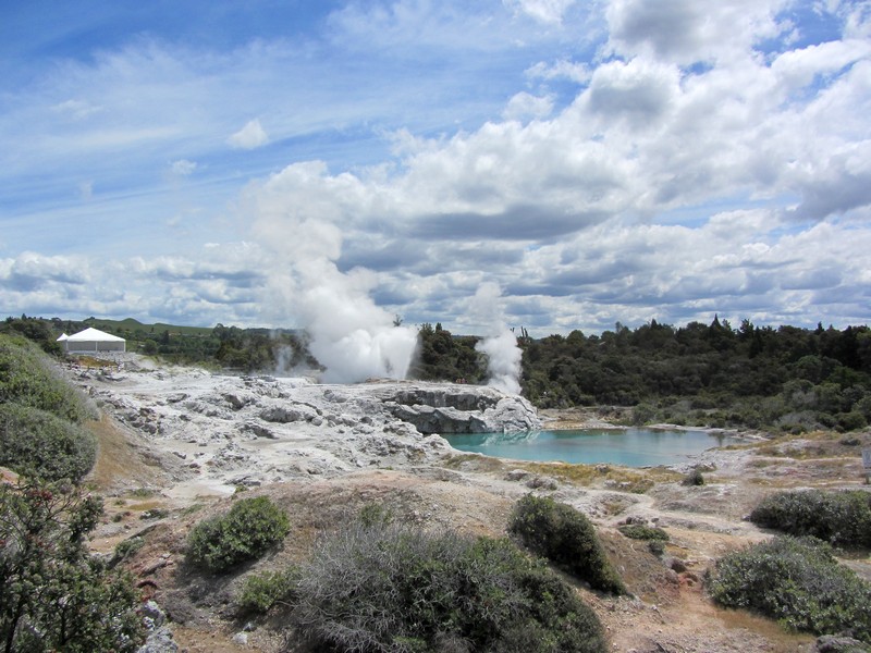 17 daagse  Nieuw-Zeeland – Noordereiland