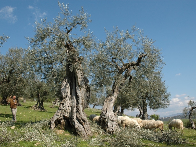 8 daagse  Italië – Monti Sabini