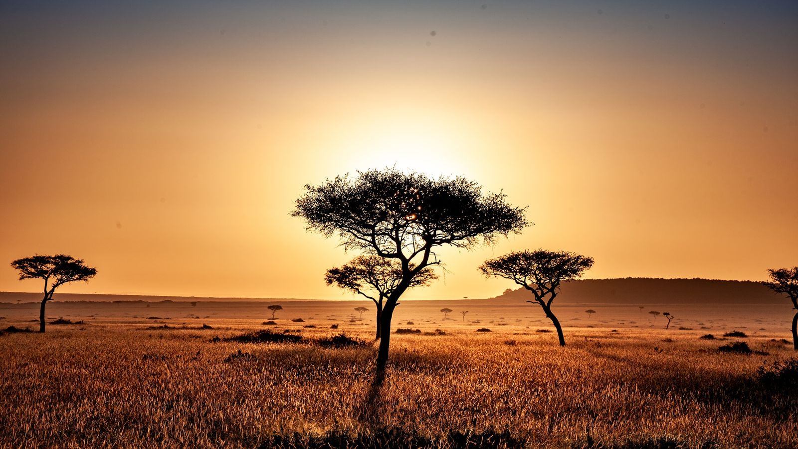 Het ware safarigevoel