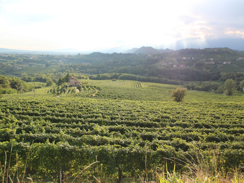 7 daagse  Italië – Veneto