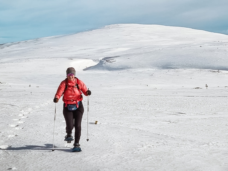8 daagse  Zweden – Dalarna