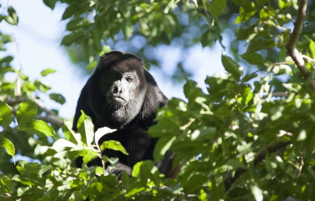 Costa Rica off the beaten track