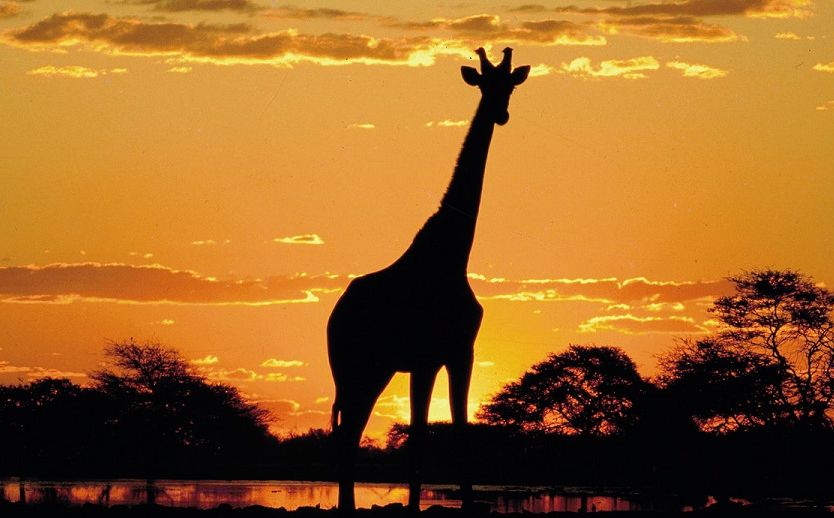 Namibië in een notendop in normale auto