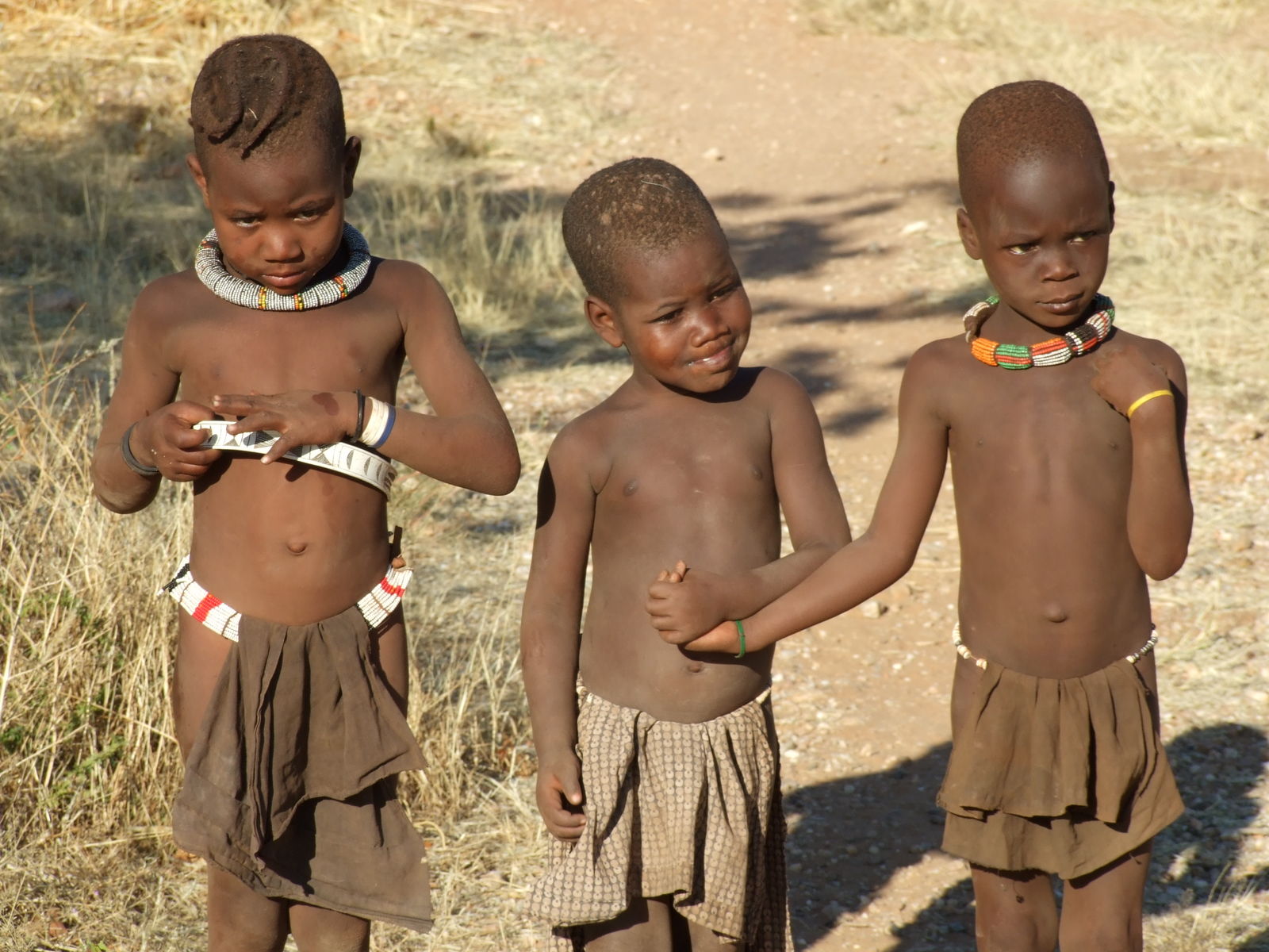 Namibië in een notendop in normale auto