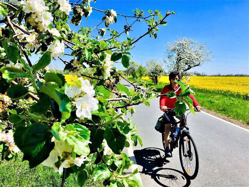 8 daagse  Tsjechië – Elberadweg etappe 2