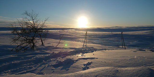 8 daagse  Zweden – Zweeds Lapland