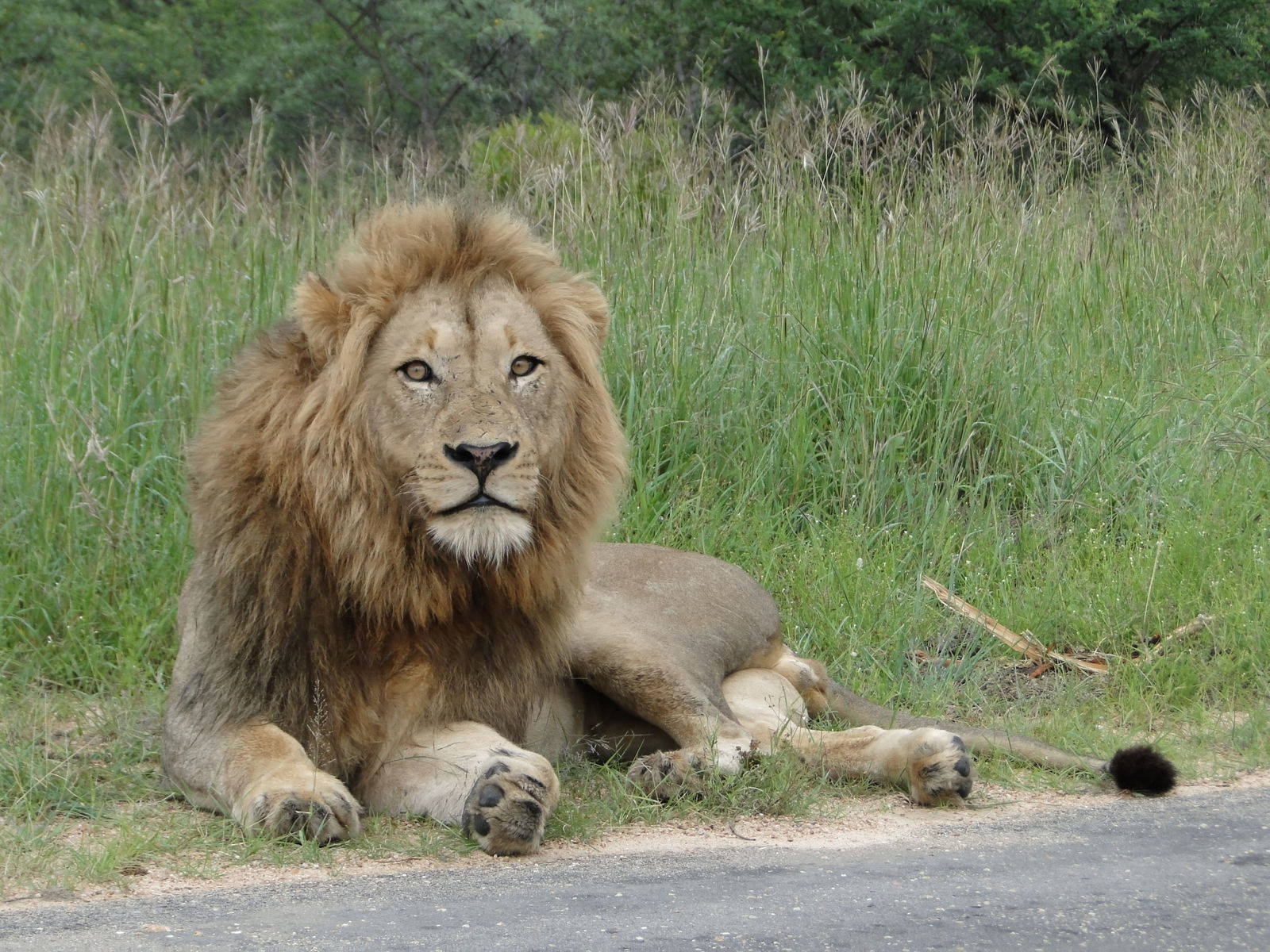 Zuid-Afrika Compleet