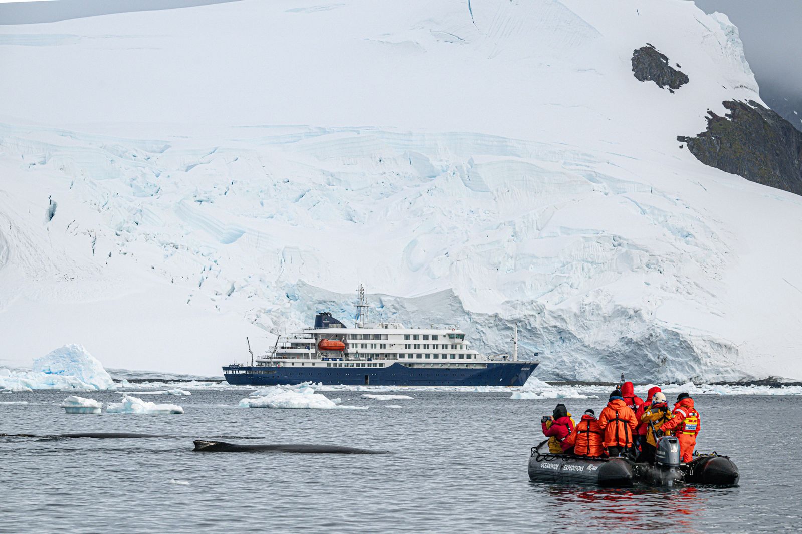 Classic Antarctica met Oceanwide