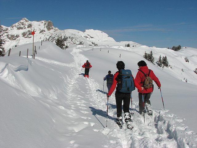 8 daagse  Oostenrijk – Grossarltal