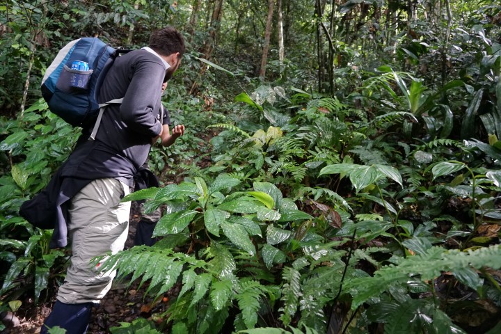 Sumatra en Maleisie