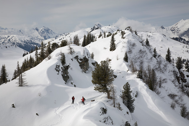 8 daagse  Oostenrijk – Grossarltal