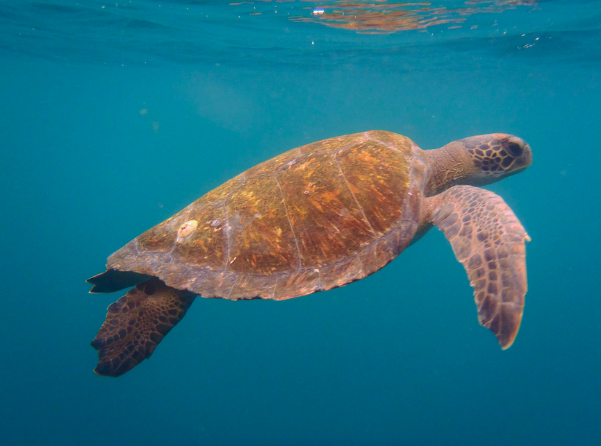 Island hopping Galápagos