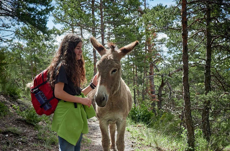 8 daagse  Frankrijk – Mercantour
