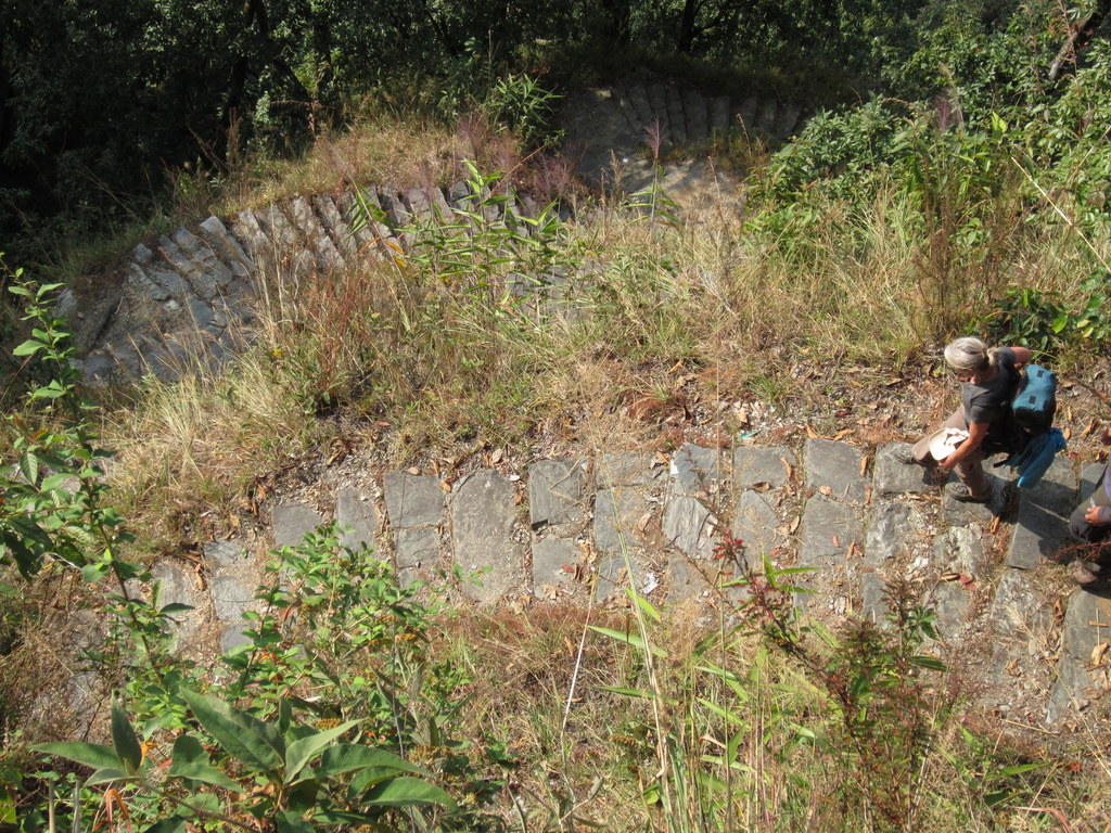 19 daagse  Nepal – Panorama